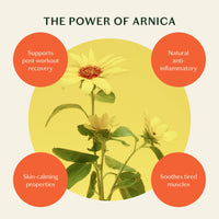 Illustration of Arnica with its benefits on a yellow background