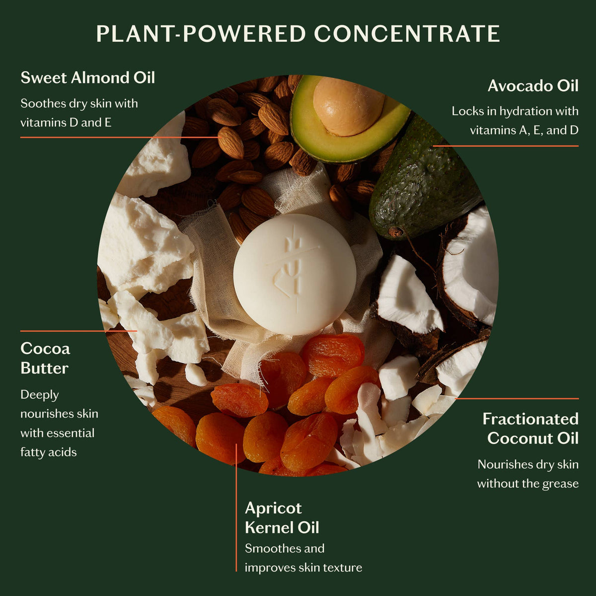 Nourishing ingredients with text labels on a green background