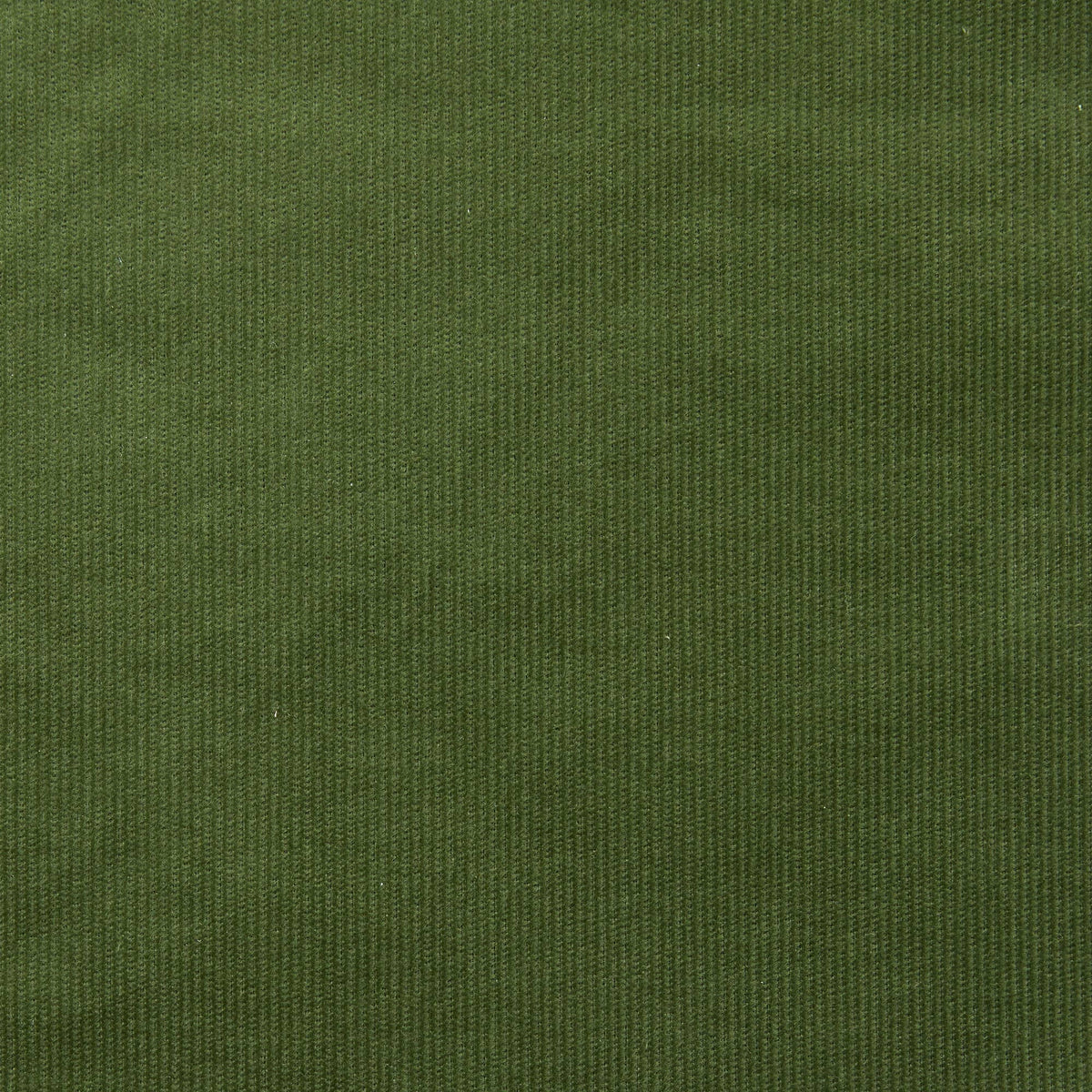 Women's Coaster Cord Wide Leg Pant -  Epidote