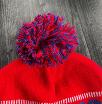 Let’s Go Buffalo Knit Pom Pom Hat