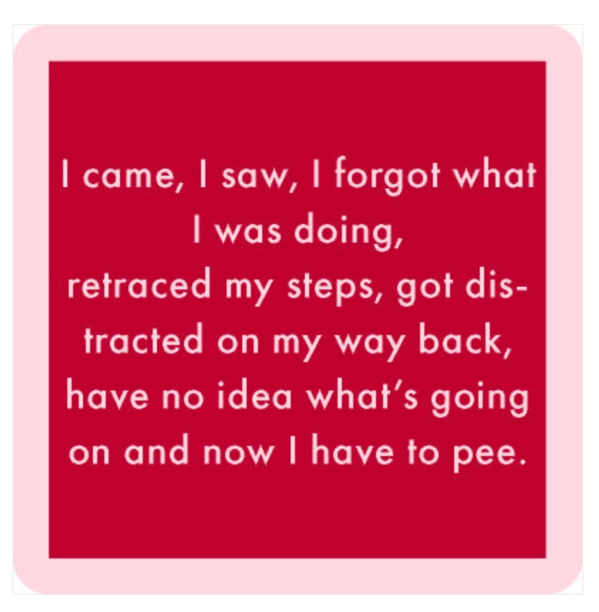 Drinks On Me Coaster - I Came, I Saw