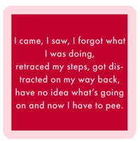 Drinks On Me Coaster - I Came, I Saw