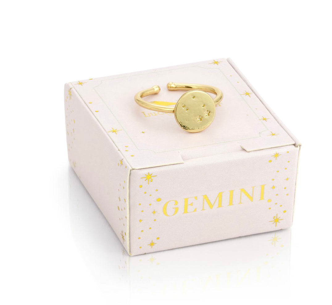 Lucky Feather Zodiac Signet Ring - Gemini
