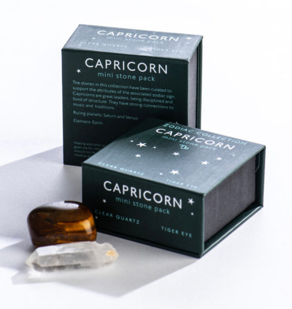 Shoppe Geo Capricorn Zodiac Mini Stone Pack