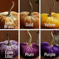 Hand Made Velvet Pumpkins - The Boutique at Fresh