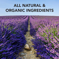 Dani Naturals Lemongrass Lavender Bath Bomb