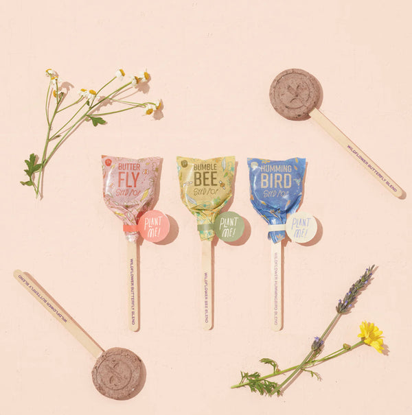 Modern Sprout Pollinator Seed Lollipops