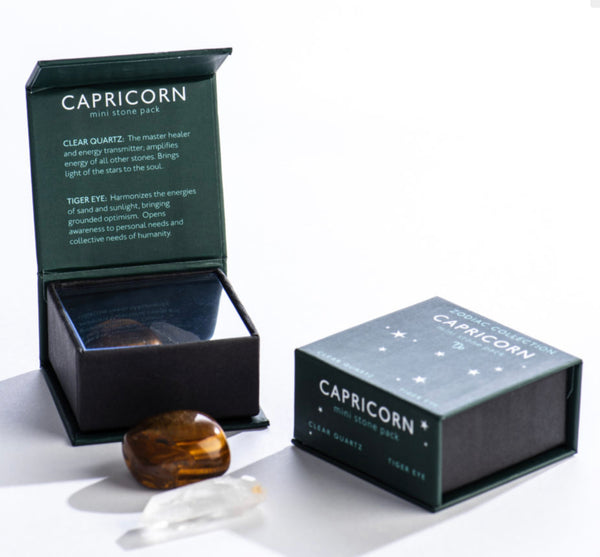 Shoppe Geo Capricorn Zodiac Mini Stone Pack