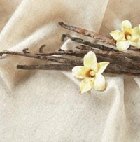 Airome Essential Oil Vanilla Dreams