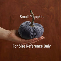 Hand Made Velvet Pumpkins - The Boutique at Fresh