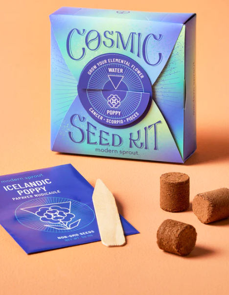 modern sprout cosmic seed kit water