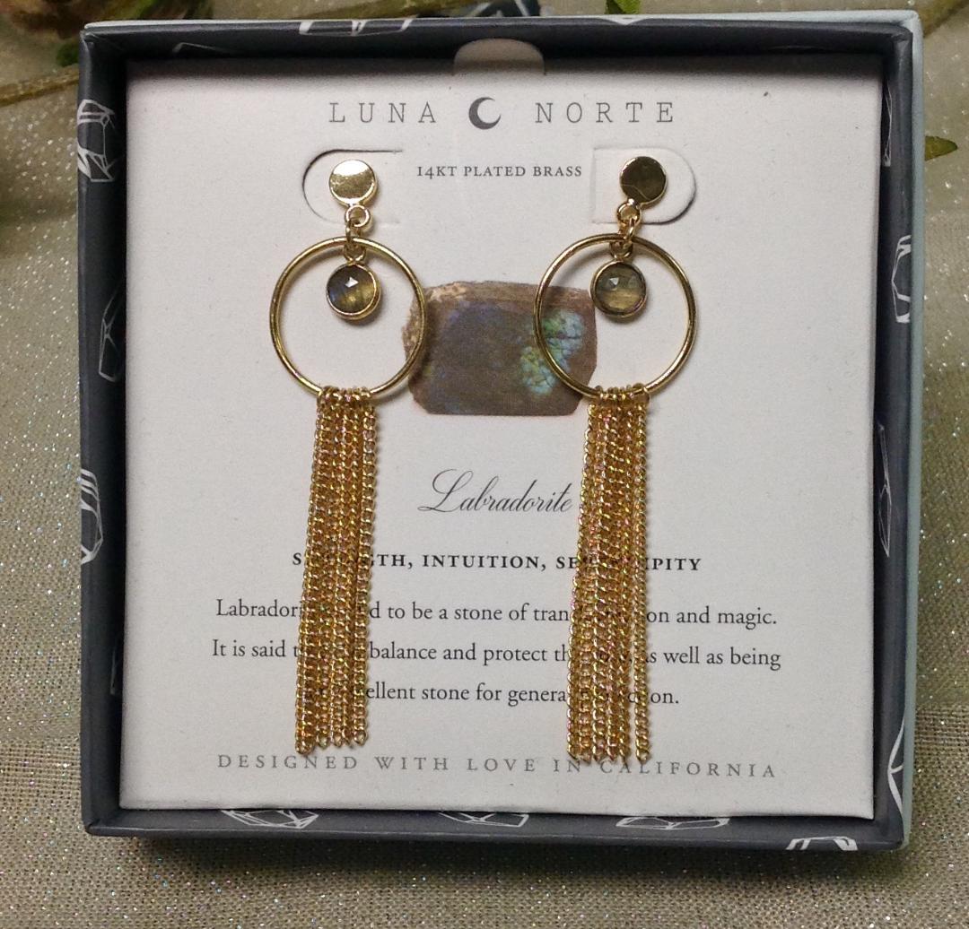 Luna Norte Labradorite Day To Night Earrings - The Boutique at Fresh